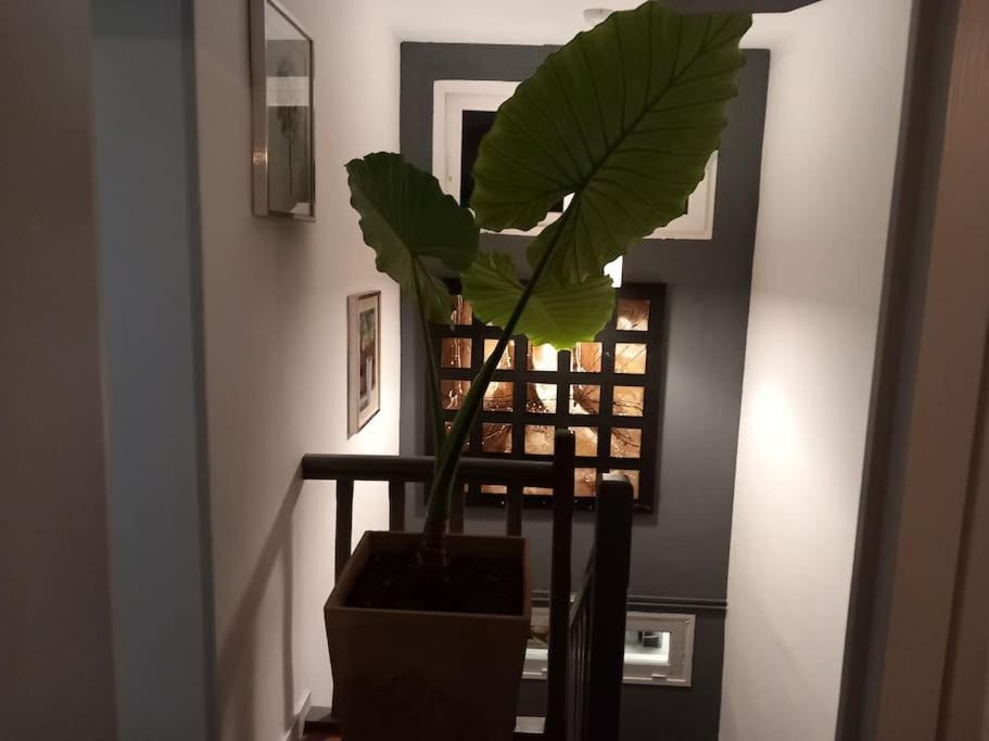 Maison Cosy - 4 Chambres Doubles Bergerac Eksteriør bilde